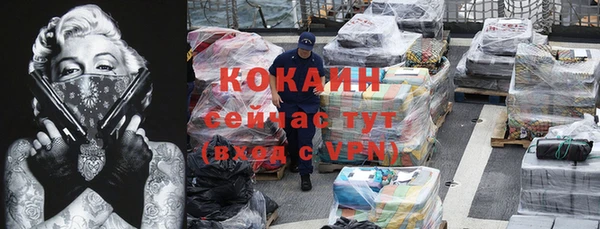 стафф Арсеньев