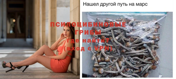 стафф Арсеньев